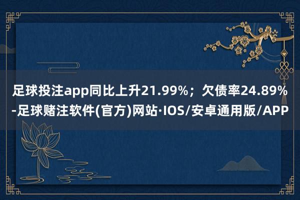 足球投注app同比上升21.99%；欠债率24.89%-足球赌注软件(官方)网站·IOS/安卓通用版/APP