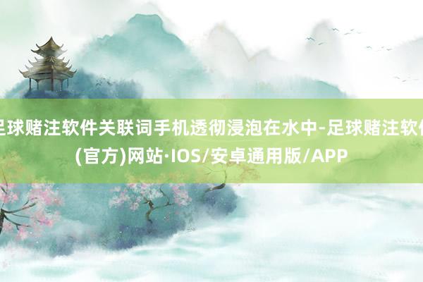 足球赌注软件关联词手机透彻浸泡在水中-足球赌注软件(官方)网站·IOS/安卓通用版/APP