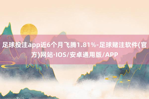 足球投注app近6个月飞腾1.81%-足球赌注软件(官方)网站·IOS/安卓通用版/APP