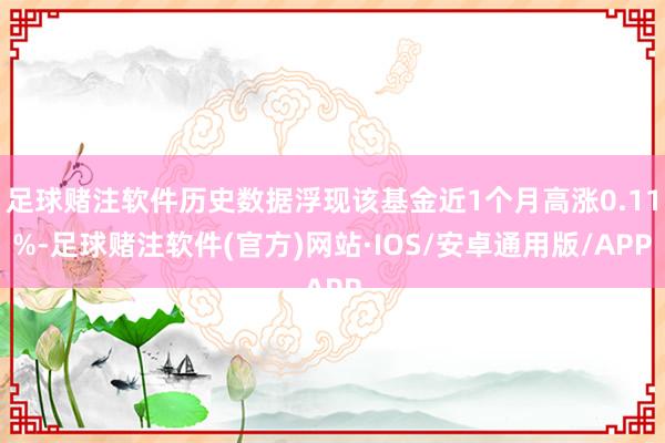 足球赌注软件历史数据浮现该基金近1个月高涨0.11%-足球赌注软件(官方)网站·IOS/安卓通用版/APP