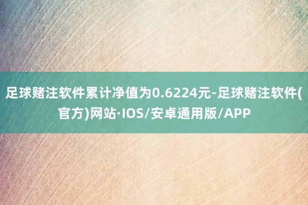足球赌注软件累计净值为0.6224元-足球赌注软件(官方)网站·IOS/安卓通用版/APP
