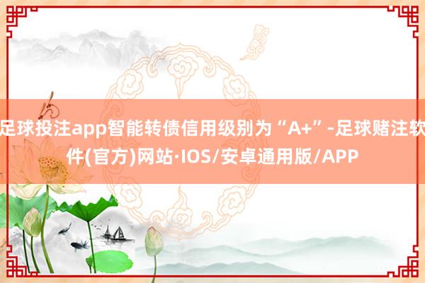 足球投注app智能转债信用级别为“A+”-足球赌注软件(官方)网站·IOS/安卓通用版/APP