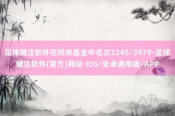 足球赌注软件在同类基金中名次3245/3979-足球赌注软件(官方)网站·IOS/安卓通用版/APP