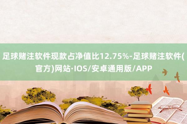足球赌注软件现款占净值比12.75%-足球赌注软件(官方)网站·IOS/安卓通用版/APP
