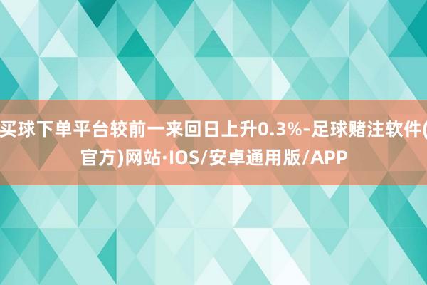 买球下单平台较前一来回日上升0.3%-足球赌注软件(官方)网站·IOS/安卓通用版/APP