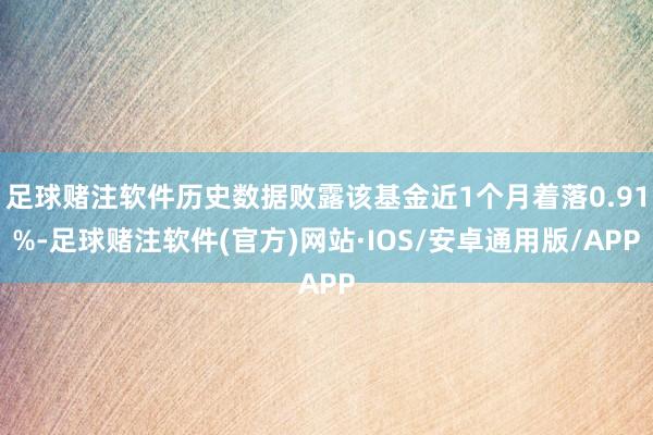 足球赌注软件历史数据败露该基金近1个月着落0.91%-足球赌注软件(官方)网站·IOS/安卓通用版/APP