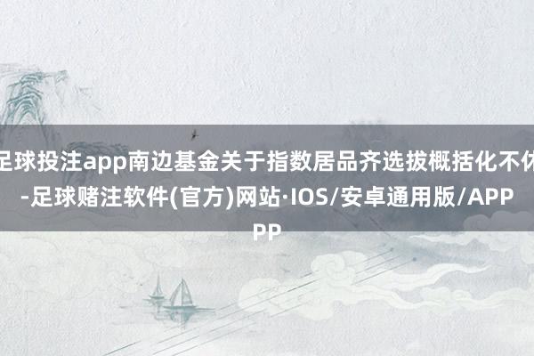 足球投注app南边基金关于指数居品齐选拔概括化不休-足球赌注软件(官方)网站·IOS/安卓通用版/APP