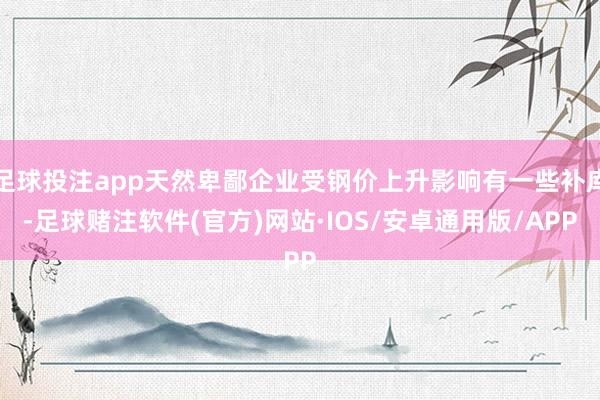 足球投注app天然卑鄙企业受钢价上升影响有一些补库-足球赌注软件(官方)网站·IOS/安卓通用版/APP