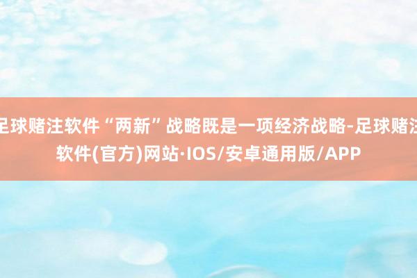 足球赌注软件“两新”战略既是一项经济战略-足球赌注软件(官方)网站·IOS/安卓通用版/APP