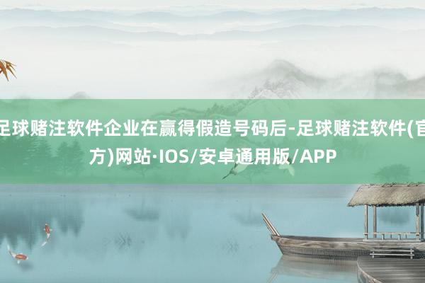 足球赌注软件企业在赢得假造号码后-足球赌注软件(官方)网站·IOS/安卓通用版/APP