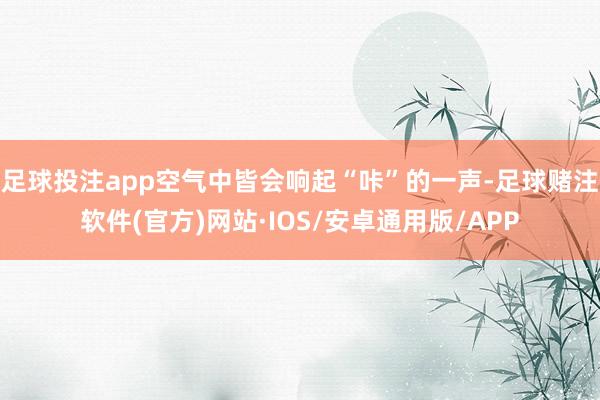 足球投注app空气中皆会响起“咔”的一声-足球赌注软件(官方)网站·IOS/安卓通用版/APP