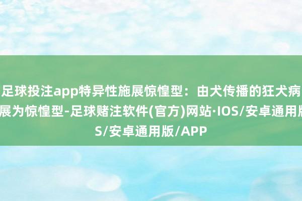 足球投注app特异性施展惊惶型：由犬传播的狂犬病一般施展为惊惶型-足球赌注软件(官方)网站·IOS/安卓通用版/APP