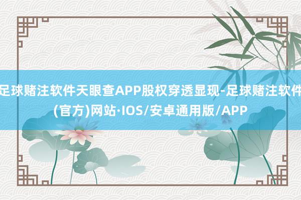 足球赌注软件天眼查APP股权穿透显现-足球赌注软件(官方)网站·IOS/安卓通用版/APP