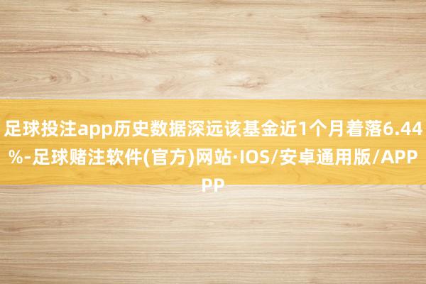 足球投注app历史数据深远该基金近1个月着落6.44%-足球赌注软件(官方)网站·IOS/安卓通用版/APP