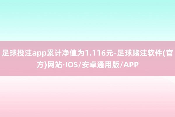 足球投注app累计净值为1.116元-足球赌注软件(官方)网站·IOS/安卓通用版/APP