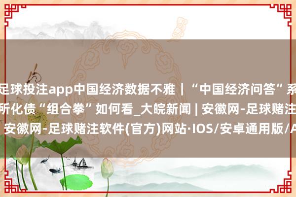 足球投注app中国经济数据不雅｜“中国经济问答”系列之四：12万亿元场所化债“组合拳”如何看_大皖新闻 | 安徽网-足球赌注软件(官方)网站·IOS/安卓通用版/APP