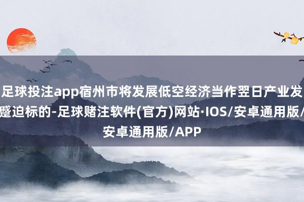 足球投注app宿州市将发展低空经济当作翌日产业发展的蹙迫标的-足球赌注软件(官方)网站·IOS/安卓通用版/APP