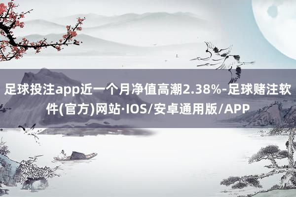 足球投注app近一个月净值高潮2.38%-足球赌注软件(官方)网站·IOS/安卓通用版/APP