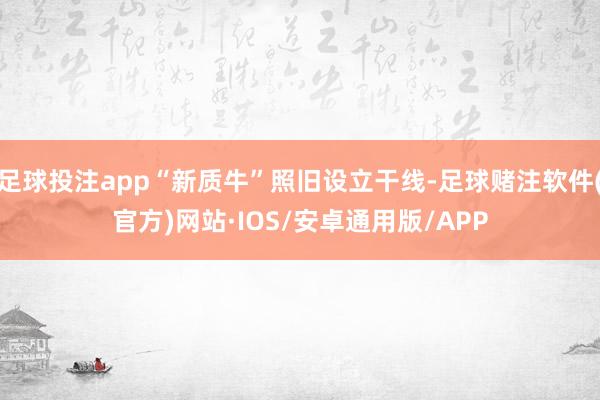 足球投注app“新质牛”照旧设立干线-足球赌注软件(官方)网站·IOS/安卓通用版/APP