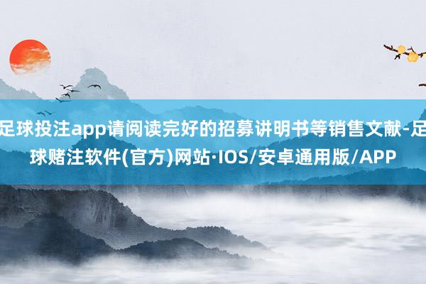 足球投注app请阅读完好的招募讲明书等销售文献-足球赌注软件(官方)网站·IOS/安卓通用版/APP