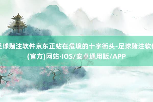 足球赌注软件京东正站在危境的十字街头-足球赌注软件(官方)网站·IOS/安卓通用版/APP