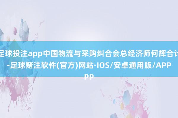 足球投注app中国物流与采购纠合会总经济师何辉合计-足球赌注软件(官方)网站·IOS/安卓通用版/APP