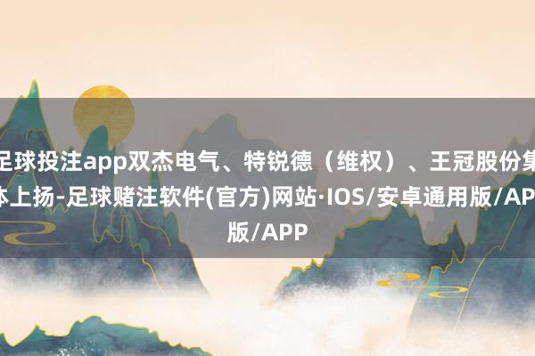 足球投注app双杰电气、特锐德（维权）、王冠股份集体上扬-足球赌注软件(官方)网站·IOS/安卓通用版/APP