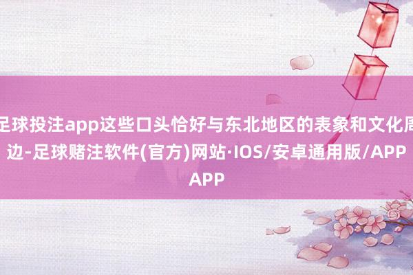 足球投注app这些口头恰好与东北地区的表象和文化周边-足球赌注软件(官方)网站·IOS/安卓通用版/APP