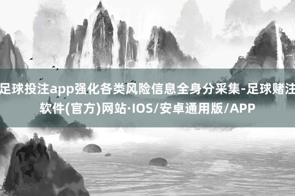 足球投注app强化各类风险信息全身分采集-足球赌注软件(官方)网站·IOS/安卓通用版/APP