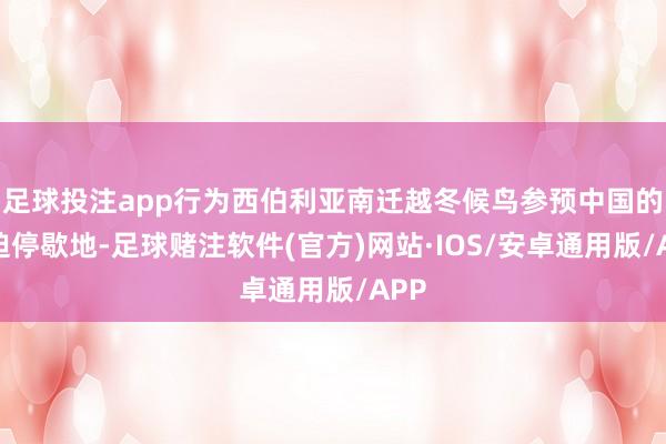 足球投注app行为西伯利亚南迁越冬候鸟参预中国的蹙迫停歇地-足球赌注软件(官方)网站·IOS/安卓通用版/APP