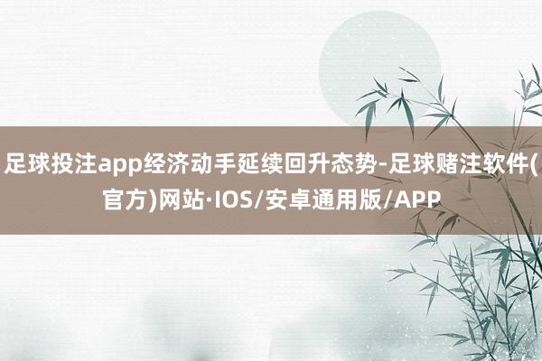 足球投注app经济动手延续回升态势-足球赌注软件(官方)网站·IOS/安卓通用版/APP