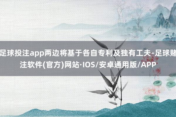 足球投注app两边将基于各自专利及独有工夫-足球赌注软件(官方)网站·IOS/安卓通用版/APP