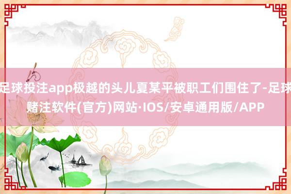 足球投注app极越的头儿夏某平被职工们围住了-足球赌注软件(官方)网站·IOS/安卓通用版/APP