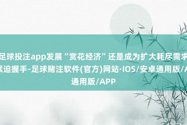 足球投注app发展“赏花经济”还是成为扩大耗尽需求的紧迫握手-足球赌注软件(官方)网站·IOS/安卓通用版/APP