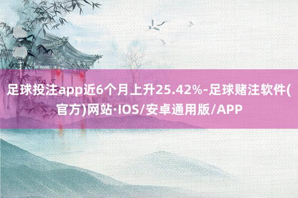 足球投注app近6个月上升25.42%-足球赌注软件(官方)网站·IOS/安卓通用版/APP