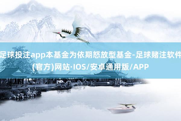 足球投注app本基金为依期怒放型基金-足球赌注软件(官方)网站·IOS/安卓通用版/APP