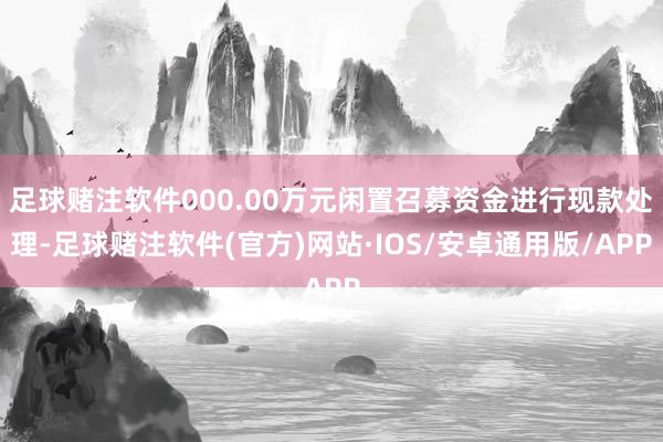 足球赌注软件000.00万元闲置召募资金进行现款处理-足球赌注软件(官方)网站·IOS/安卓通用版/APP