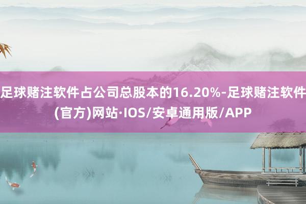 足球赌注软件占公司总股本的16.20%-足球赌注软件(官方)网站·IOS/安卓通用版/APP