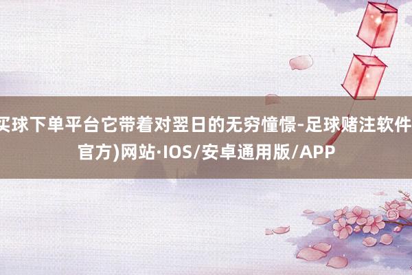 买球下单平台它带着对翌日的无穷憧憬-足球赌注软件(官方)网站·IOS/安卓通用版/APP