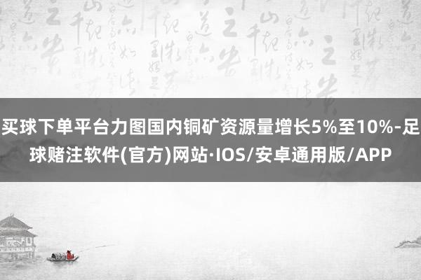 买球下单平台力图国内铜矿资源量增长5%至10%-足球赌注软件(官方)网站·IOS/安卓通用版/APP