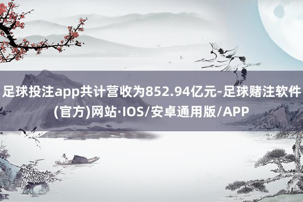足球投注app共计营收为852.94亿元-足球赌注软件(官方)网站·IOS/安卓通用版/APP