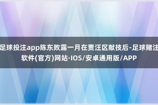 足球投注app陈东败露一月在贾汪区献技后-足球赌注软件(官方)网站·IOS/安卓通用版/APP