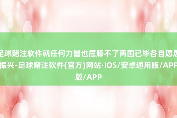 足球赌注软件就任何力量也屈膝不了两国已毕各自愿展振兴-足球赌注软件(官方)网站·IOS/安卓通用版/APP