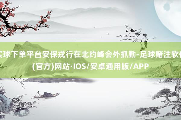 买球下单平台安保戎行在北约峰会外抓勤-足球赌注软件(官方)网站·IOS/安卓通用版/APP