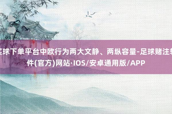 买球下单平台中欧行为两大文静、两纵容量-足球赌注软件(官方)网站·IOS/安卓通用版/APP