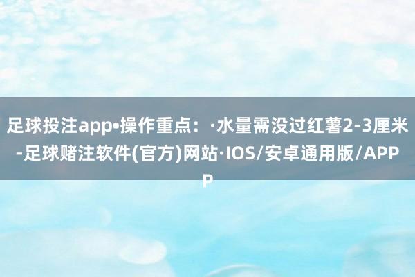 足球投注app•操作重点：·水量需没过红薯2-3厘米-足球赌注软件(官方)网站·IOS/安卓通用版/APP