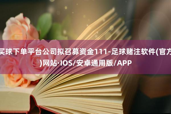 买球下单平台公司拟召募资金111-足球赌注软件(官方)网站·IOS/安卓通用版/APP