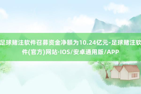 足球赌注软件召募资金净额为10.24亿元-足球赌注软件(官方)网站·IOS/安卓通用版/APP