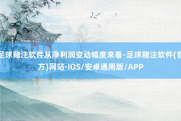 足球赌注软件从净利润变动幅度来看-足球赌注软件(官方)网站·IOS/安卓通用版/APP