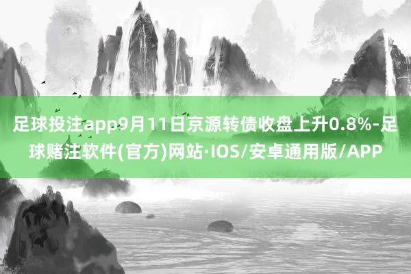 足球投注app9月11日京源转债收盘上升0.8%-足球赌注软件(官方)网站·IOS/安卓通用版/APP